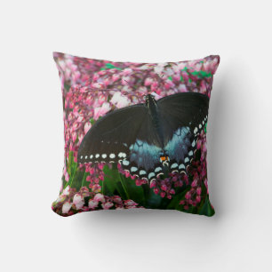 Cojín Decorativo Una Mariposa de Azufre En La Familia Phoebis