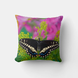 Cojín Decorativo Una Mariposa Macho Posa