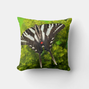 Cojín Decorativo Una Mariposa Papilio Norteamericana