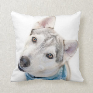 Cojín Decorativo Una mezcla de Husky siberiano inclinó la cabeza