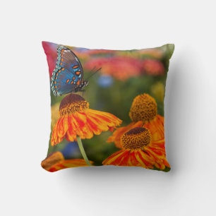 Cojín Decorativo Una Papilio troilus, Papilio troilus