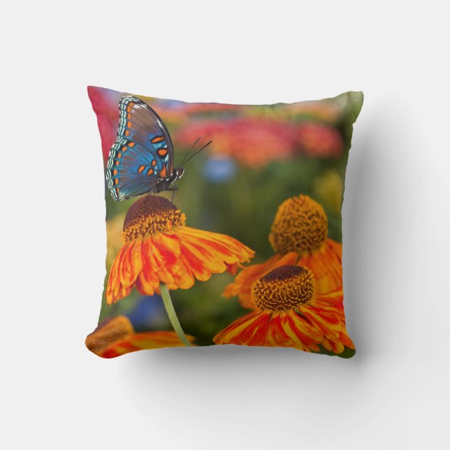 Cojín Decorativo Una Papilio troilus, Papilio troilus (Anverso)
