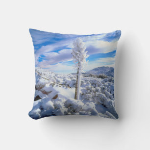 Cojín Decorativo Una yucca cubierta de nieve