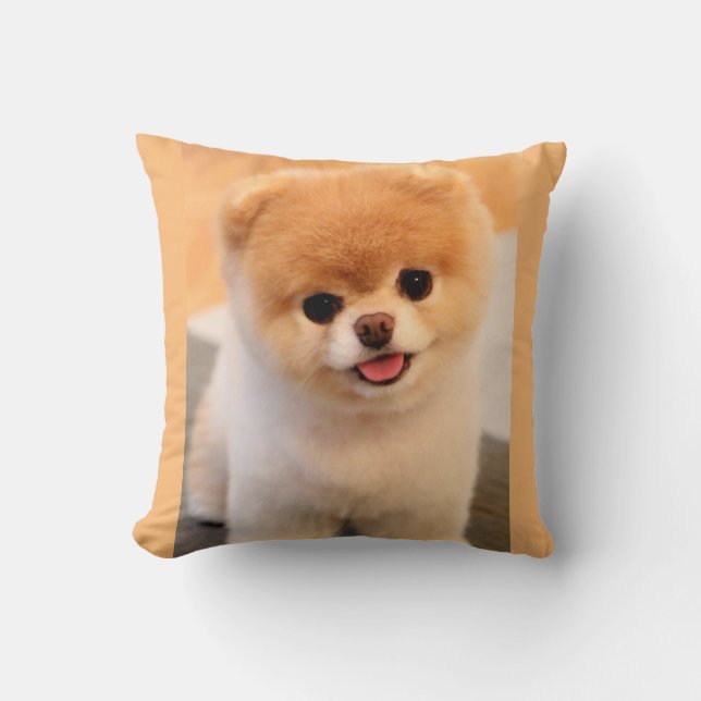 Cojín Decorativo Único Pomerania con encanto (Anverso)