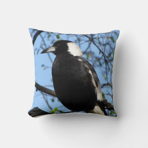 Cojín Decorativo Urraca australiana 