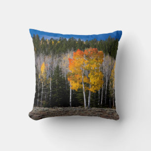 Cojín Decorativo Utah, EE. UU. Árboles de álamo temblón (Populus Tr