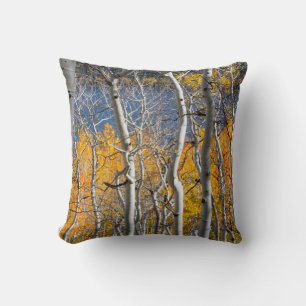 Cojín Decorativo Utah, EE. UU. Árboles de Aspen (Populus Tremuloide