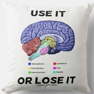 Cojín Decorativo Utilícelo O Pérdelo Humor De Asesoramiento Cerebra