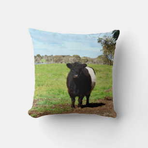 Cojín Decorativo Vaca Galloway Femenina En El País, Cushira