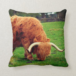 Cojín Decorativo Vaca Highlander de Escocia