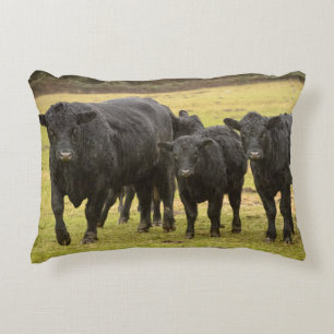 Cojín Decorativo Vacas en la lluvia