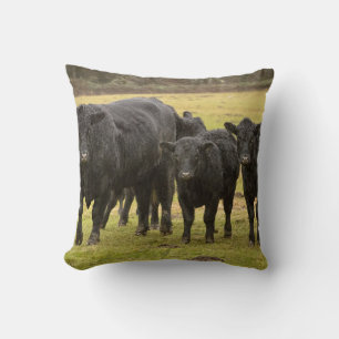Cojín Decorativo Vacas en la lluvia