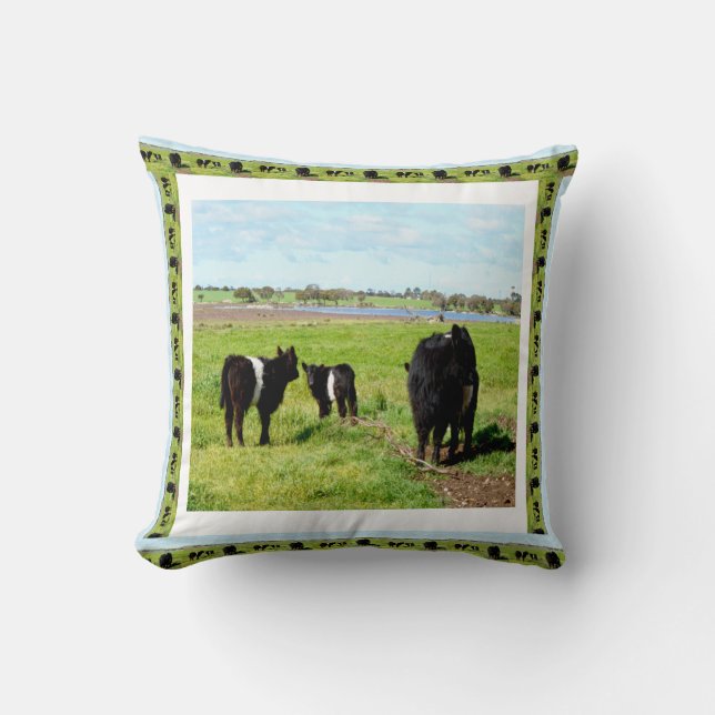 Cojín Decorativo Vacas Galloway Enmarcadas, Cushion (Anverso)