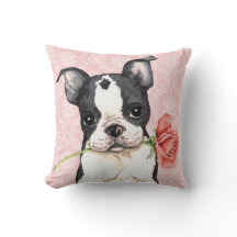 Valentine Rosa Boston Terrier