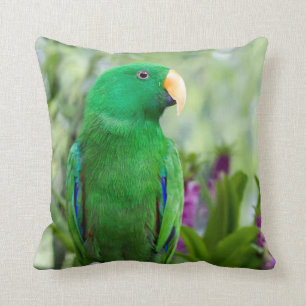 Cojín Decorativo Varón del loro de Eclectus