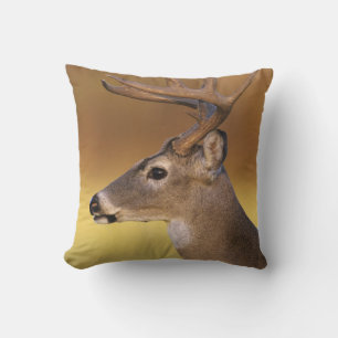 Cojín Decorativo Venado de cola blanca, Odocoileus virginianus,