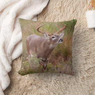 Cojín Decorativo Venado de cola blanca otoño en Texas