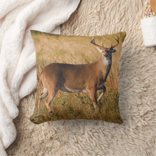 Cojín Decorativo Venado de cola blanca   Otoño en TX
