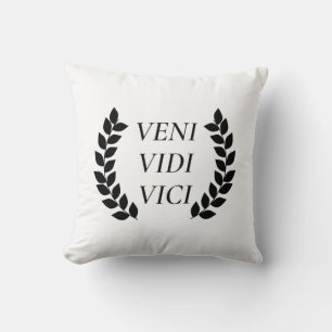 Cojín Decorativo Veni Vidi Vici Vine Y Vi Que Me Conquistaban