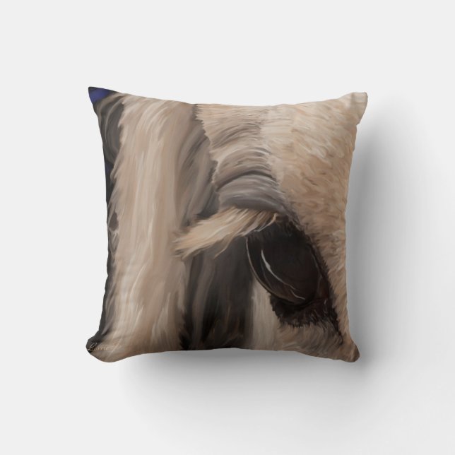 Cojín Decorativo Ventana del alma (Anverso)