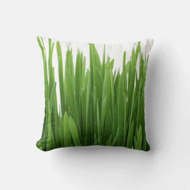 Cojín Decorativo Verde (Anverso)