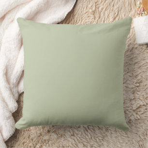 Cojín Decorativo Verde claro salvia sólido