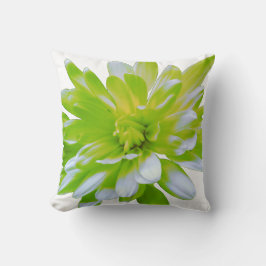 Cojín Decorativo Verde dulce floral floral verde margarita verde