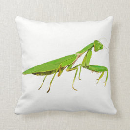 Cojín decorativo verde gigante de la mantis