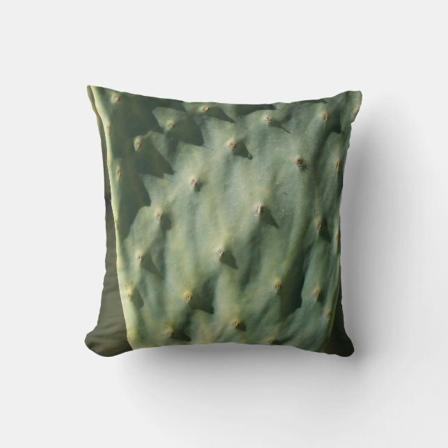 Cojín Decorativo Verde pálido de textura prensada (Anverso)