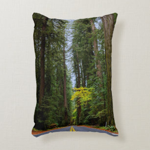 Cojín Decorativo Vía Recta Foggy Árboles secuoya Acento Pillow