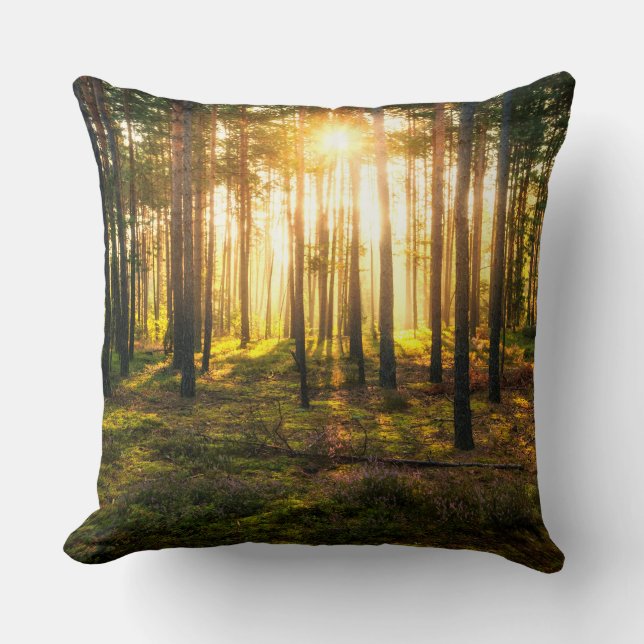 Cojín Decorativo Vigas de sol brillan en el bosque de pinos (Anverso)