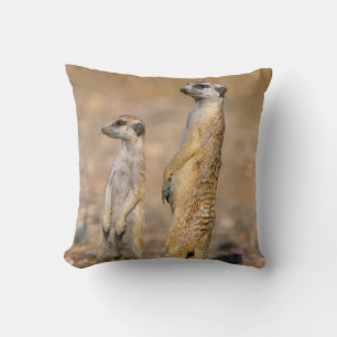 Cojín Decorativo Vigilantes de suricata (Suricata suricatta), Karas