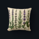 Cojín Decorativo Vintage Herb Pillow - Botanical Rosemary Lavender<br><div class="desc">Bring vintage charm with this botanical herb illustration! Features rosemary, thyme, lavender, and sage in antique scientific drawing style with muted green, beige, and brown tones. 🌿 **Perfect for:** • Vintage and farmhouse decor • Kitchen and dining room • Herbalist and gardener gifts • Classic home aesthetics 🎁 **Gift Idea:**...</div>