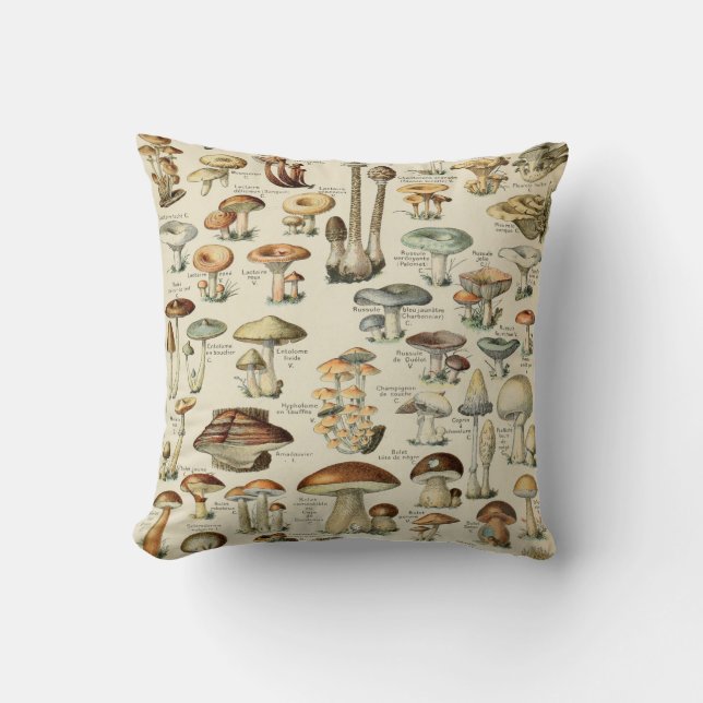 Cojín Decorativo Vintage Mushroom (Anverso)