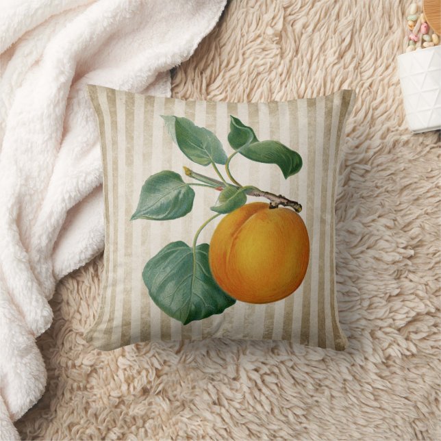 Cojín Decorativo Vintage Peach Botanical (Manta)