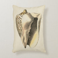 Vintage Sepia Conch Shell