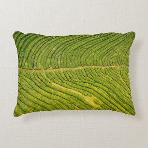 Cojín Decorativo Vista aérea de campo abierto verde