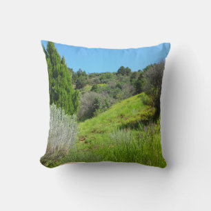 Cojín Decorativo Vista del Pilar Verde