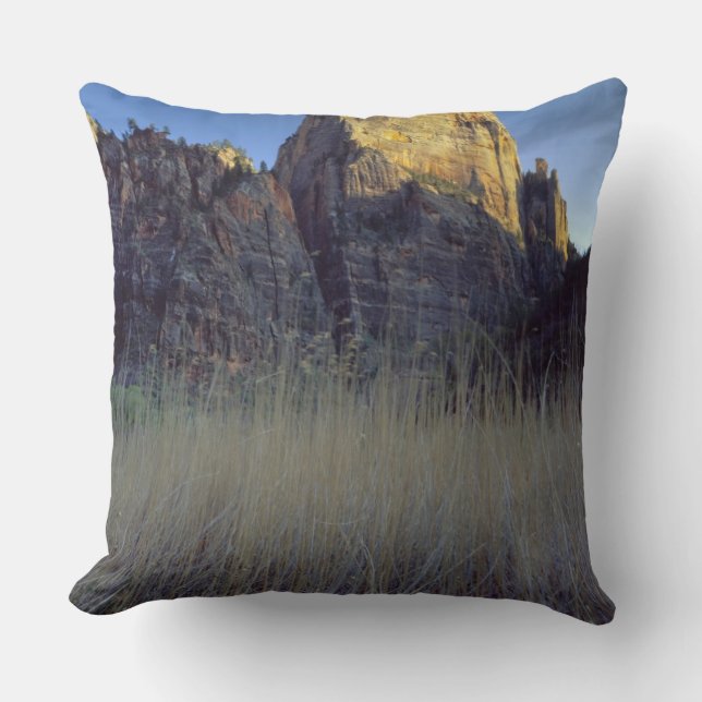 Cojín Decorativo Vista desde la llanura de inundación del río Virge (Anverso)