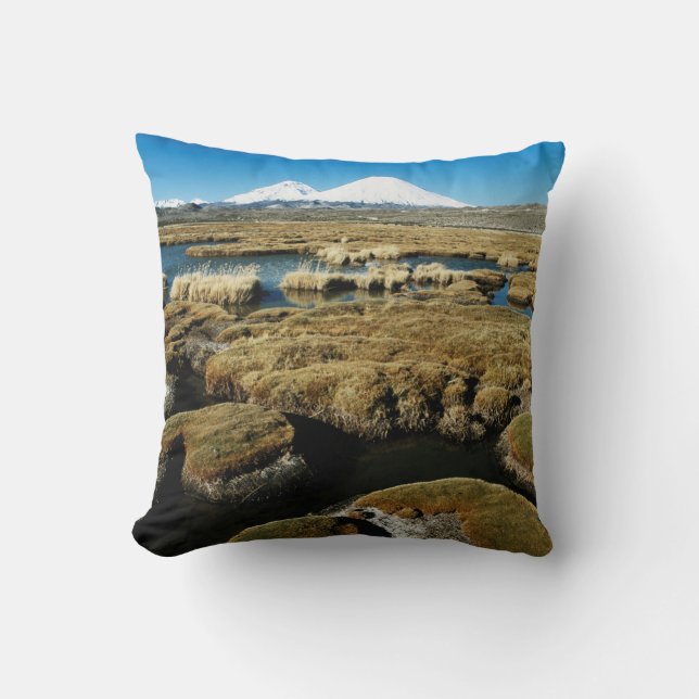 Cojín Decorativo Volcanes Payachalas (Anverso)