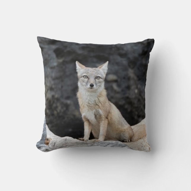 Cojín Decorativo Vulpes corsac (Anverso)