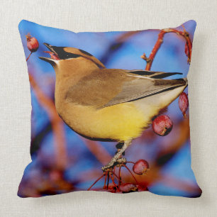 Cojín Decorativo Waxwing de cedro