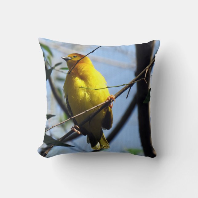 Cojín Decorativo Weaver Bird Pillow (Anverso)