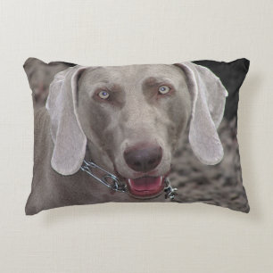 Cojín Decorativo Weimaraner