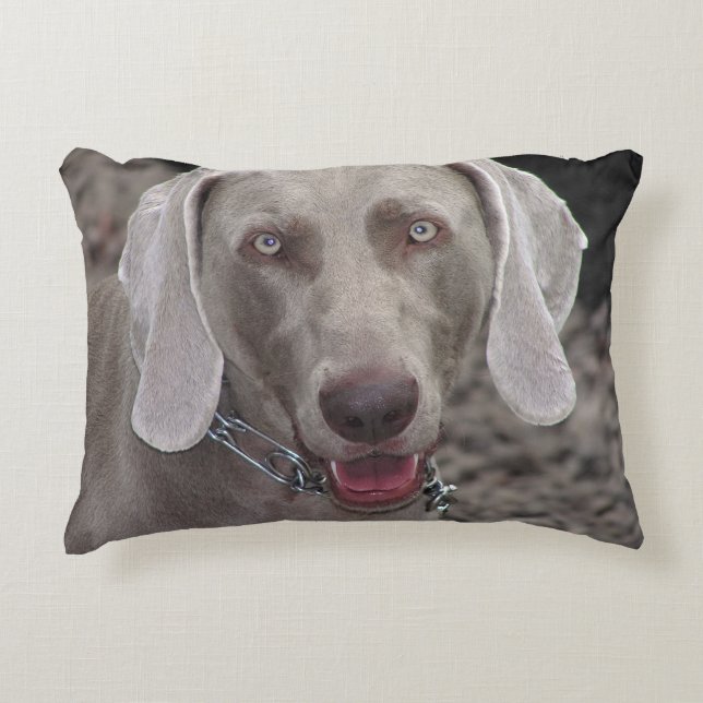 Cojín Decorativo Weimaraner (Anverso)