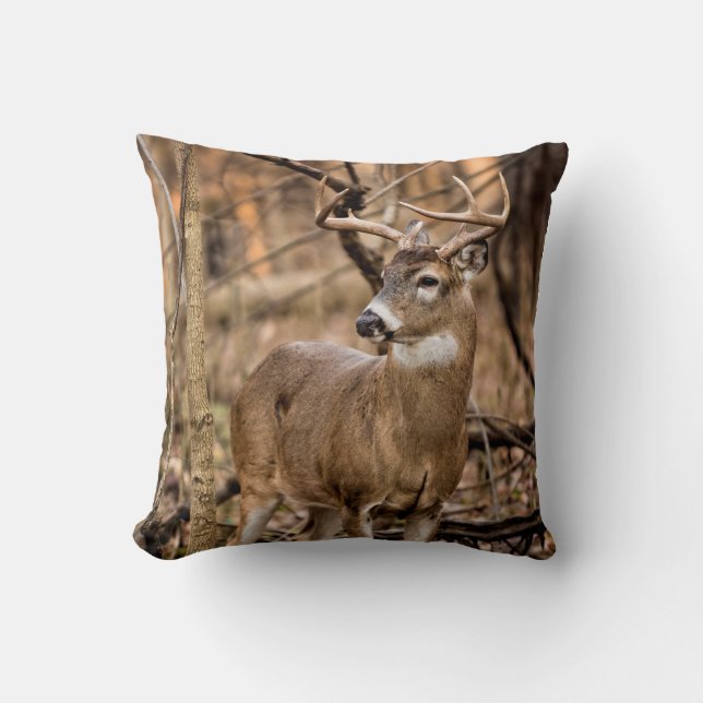 Cojín Decorativo White Tail Deer Buck (Anverso)