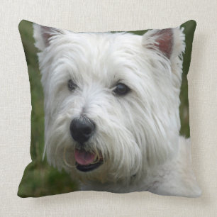 Cojín Decorativo WHiTE WeST HiGHLaND TeRRiER