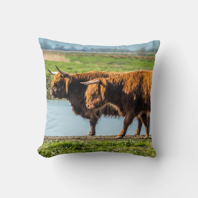 Cojín Decorativo Wicken Fen cattle (Anverso)