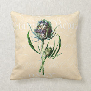 Cojín Decorativo Wildflower de la antigüedad del cardo del escocés