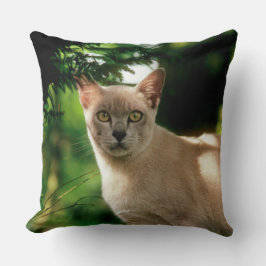 Cojín Decorativo Wilham.